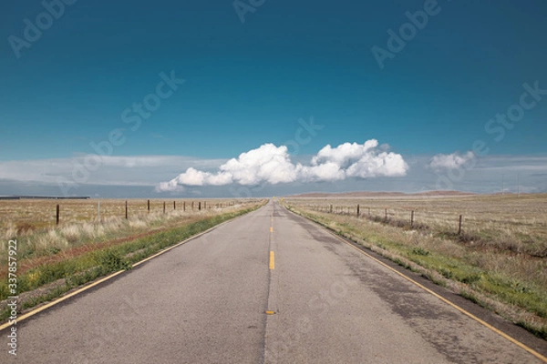 Obraz Road passing through dry fields