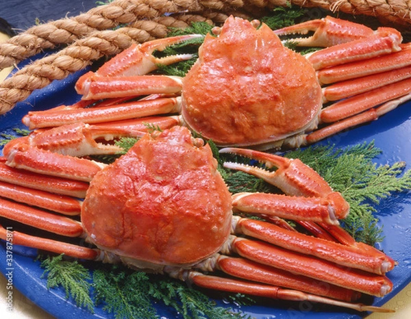 Obraz 浜ゆでズワイガニ2尾