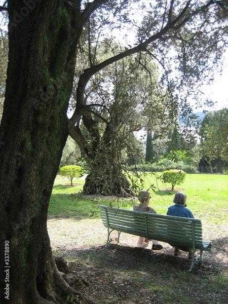 Obraz repos à l'ombre