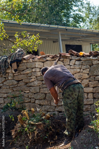 Fototapeta Worker in motion during stump extraction.