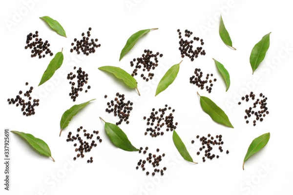Obraz Peppercorns and Lemon Myrtle Leaves