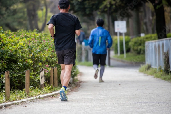 Fototapeta 朝の公園でジョギングしている人々