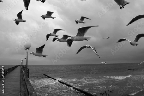 Obraz der familienausflug