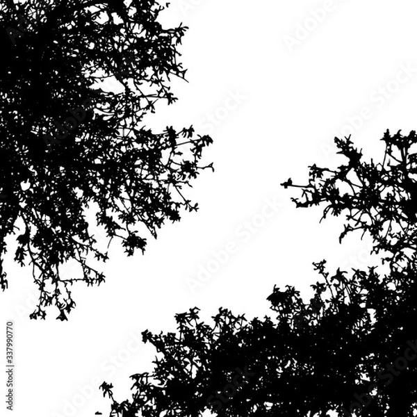Fototapeta Vector silhouette of trees on white background. Symbol of forest.