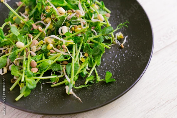 Fototapeta Close up of vegan healthy salad made of peas microgreen sprouts and sprouted beans on wooden background