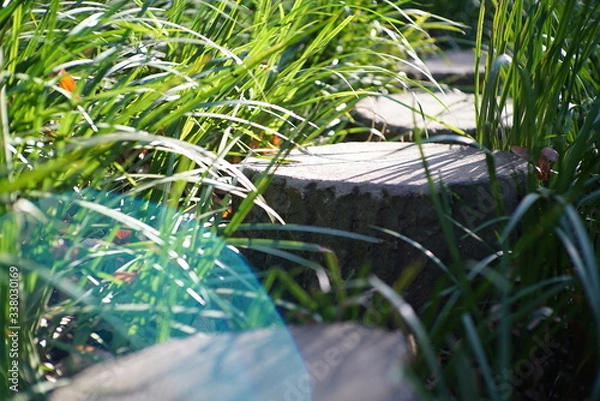 Obraz 等々力渓谷