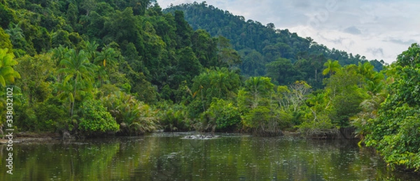 Obraz Pristine vibrant jungle scene with many water buffalo in wild river seen in West Sumatra, Indonesia