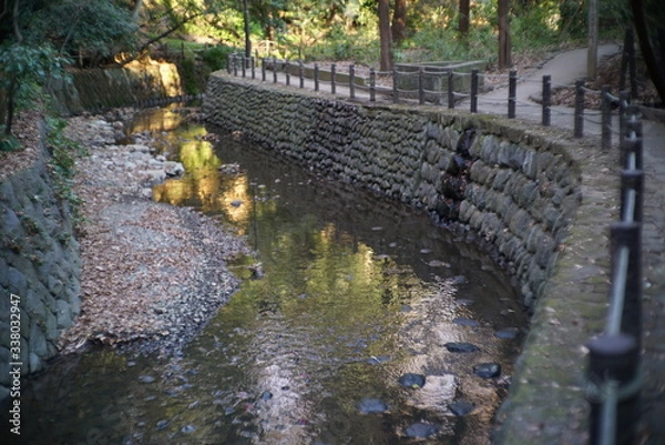 Obraz 等々力渓谷