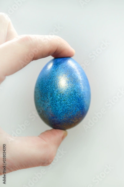 Fototapeta blue easter egg in hand