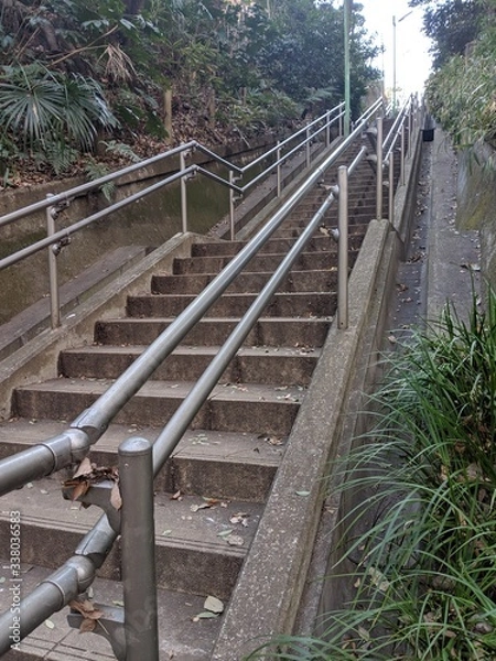 Obraz 等々力渓谷