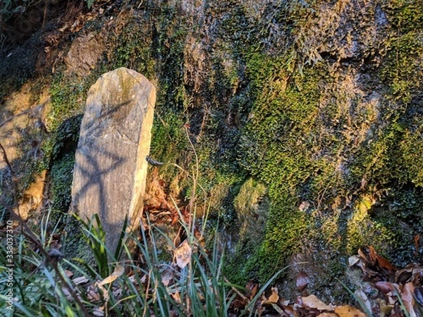 Obraz 等々力不動尊 等々力渓谷