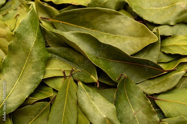 Fototapeta Dried bay leaves texture background