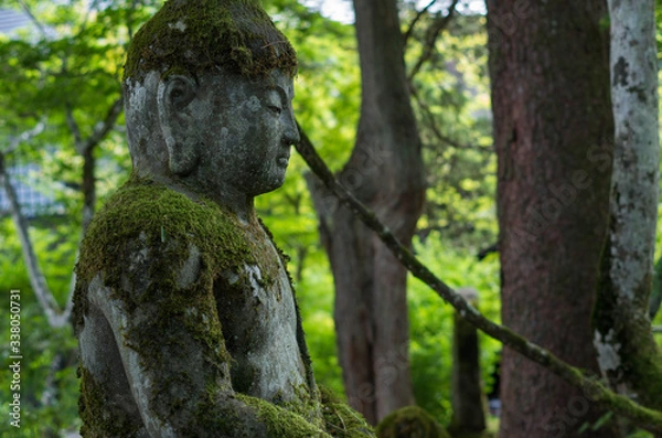 Fototapeta 神社仏閣10
