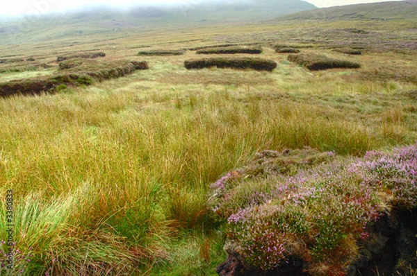 Obraz lande irlandaise