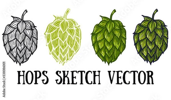 Fototapeta Hops vector visual graphic icons or logos, ideal for beer, stout, lager, bitter labels & packaging.
