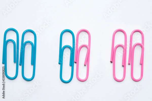 Fototapeta Multi-colored paper clips are arranged by color depending on the color, the office is blue and pink