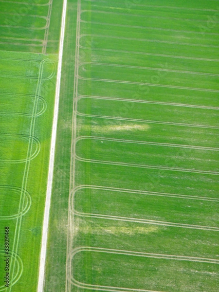 Fototapeta Fields of the Rifle Range, Mere, Wiltshire