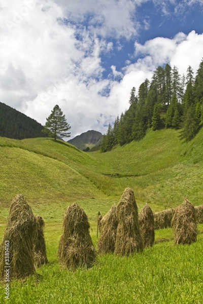 Obraz Heumanndln in Süddtirol