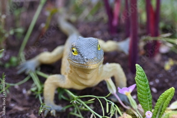 Obraz Eidechse, Reptil, tier