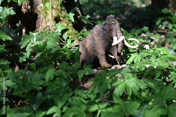 Obraz Mammut 