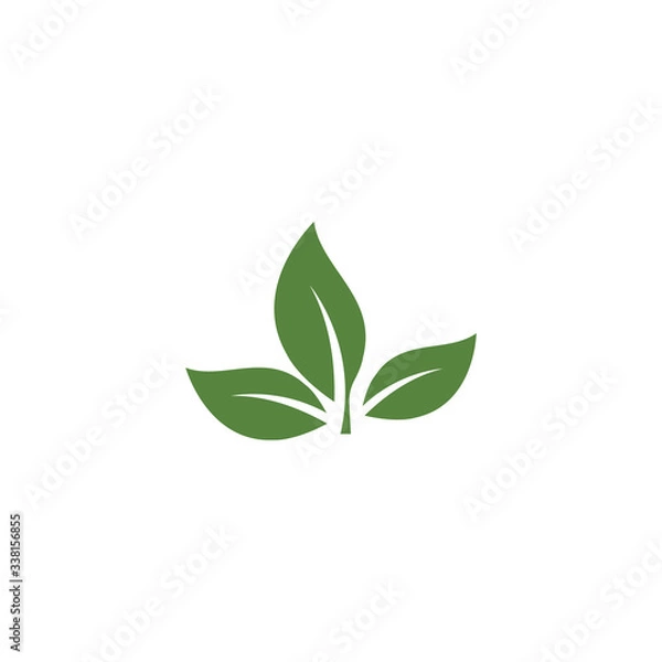 Obraz Green garden green leaf Logo Template