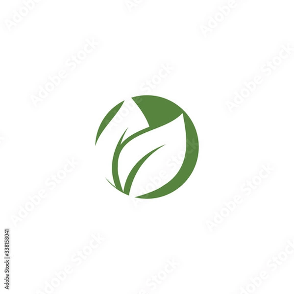 Obraz Green garden green leaf Logo Template