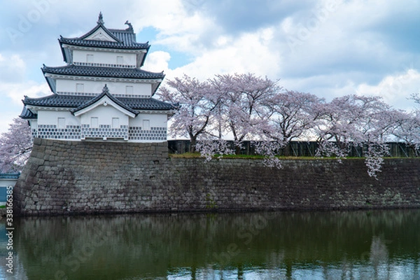Obraz 新発田城と桜