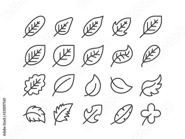 Fototapeta Diagonal Leaf Outline line Icon Set Autumn fall and Spring Concept Minimal Style Illustration Vector EPS 10. Editable Stroke