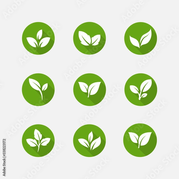 Fototapeta Green leaf ecology nature element vector icon, Leaf Icon, green leaf ecology nature element vector