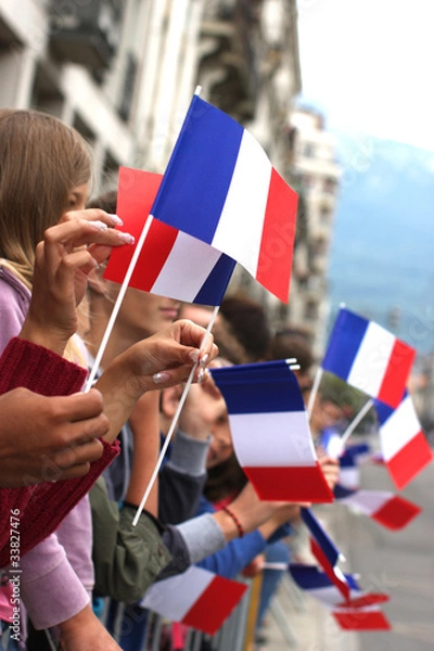 Obraz Drapeaux français