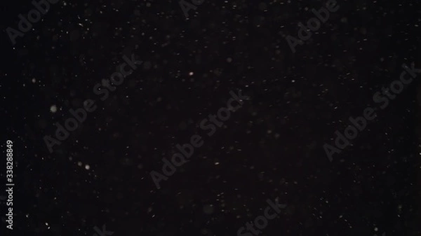 Fototapeta 4k Natural Dust Organic Floating particles on black background. Dust in air atmosphere for your projects! Just drop it over your footage and use blending (screen) mode