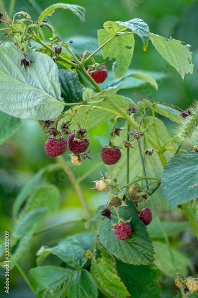 Obraz ill be over here