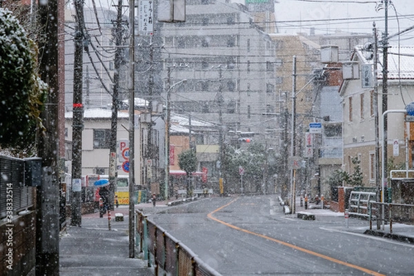 Fototapeta 蕨市南町 西川口（三和中央通り） 住宅街 雪