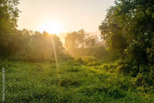 Fototapeta Into the wild and beautiful nature of Vietnam near My Son Temple complex.