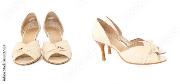 Obraz A pair of elegant lady shoes