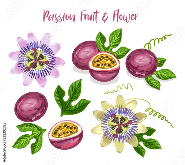 Obraz Passion fruit and flower set