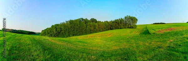 Obraz green meadow under the blue sky