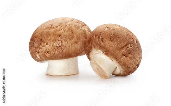 Fototapeta Raw Brown Champignons isolated on white background