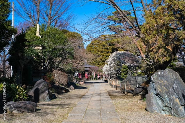 Fototapeta 飯能市 観音寺 参道