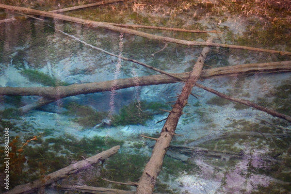 Fototapeta 北海道、神の子池
