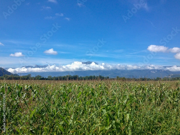 Obraz Rhone Alps Countryside
