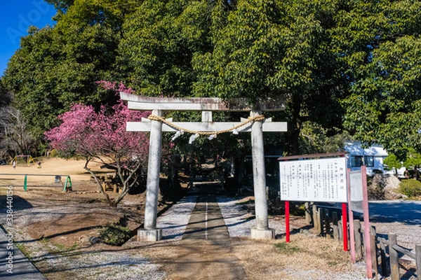 Fototapeta 飯能市 加治神社 鳥居