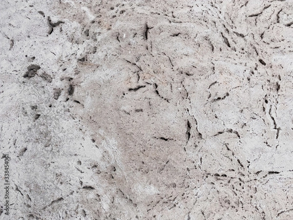 Obraz pine bark. wooden tree texture background. tree bark wallpaper. light brown pine tree bark background pattern