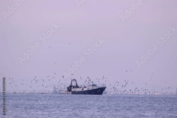 Obraz grau du roi seaside