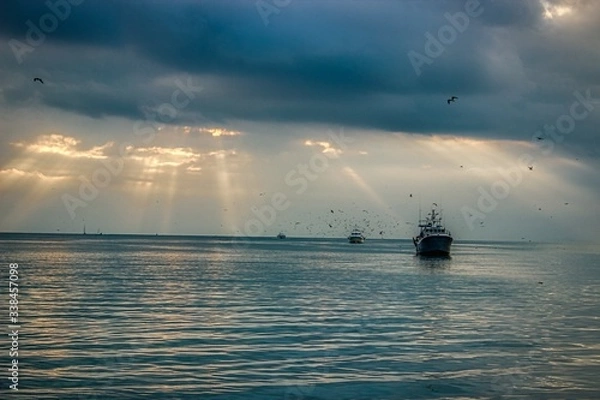 Obraz grau du roi seaside