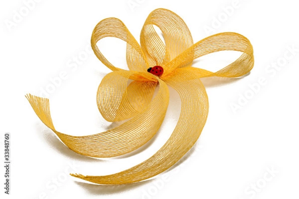 Obraz Yellow ribbon