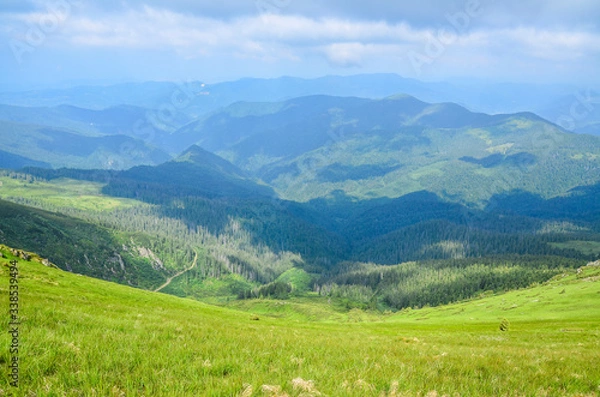 Obraz View to a chain of green mountains peaks on cloudy summer day. gorgeous landscape of Carpathian mountains Marmarosy ridge. Trekking in mountains.