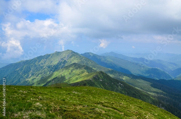 Fototapeta View to a chain of green mountains peaks on cloudy summer day. gorgeous landscape of Carpathian mountains Marmarosy ridge. Trekking in mountains.