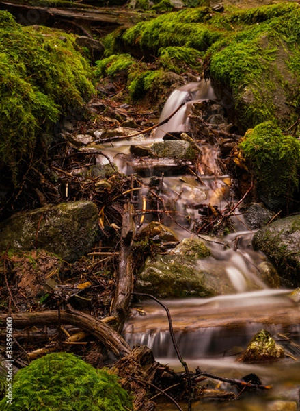 Obraz small waterfall in the forest