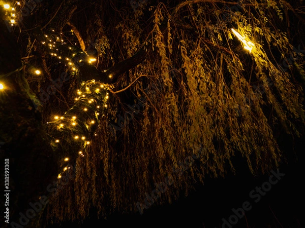 Obraz light in the night